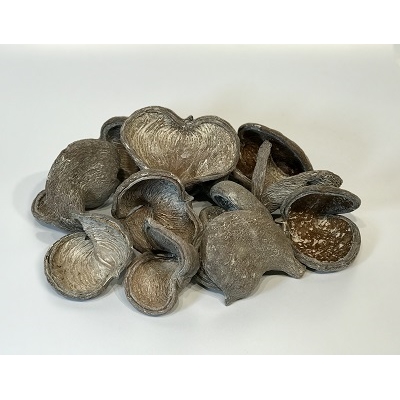12 Badam Nut Frosted White - Bag 